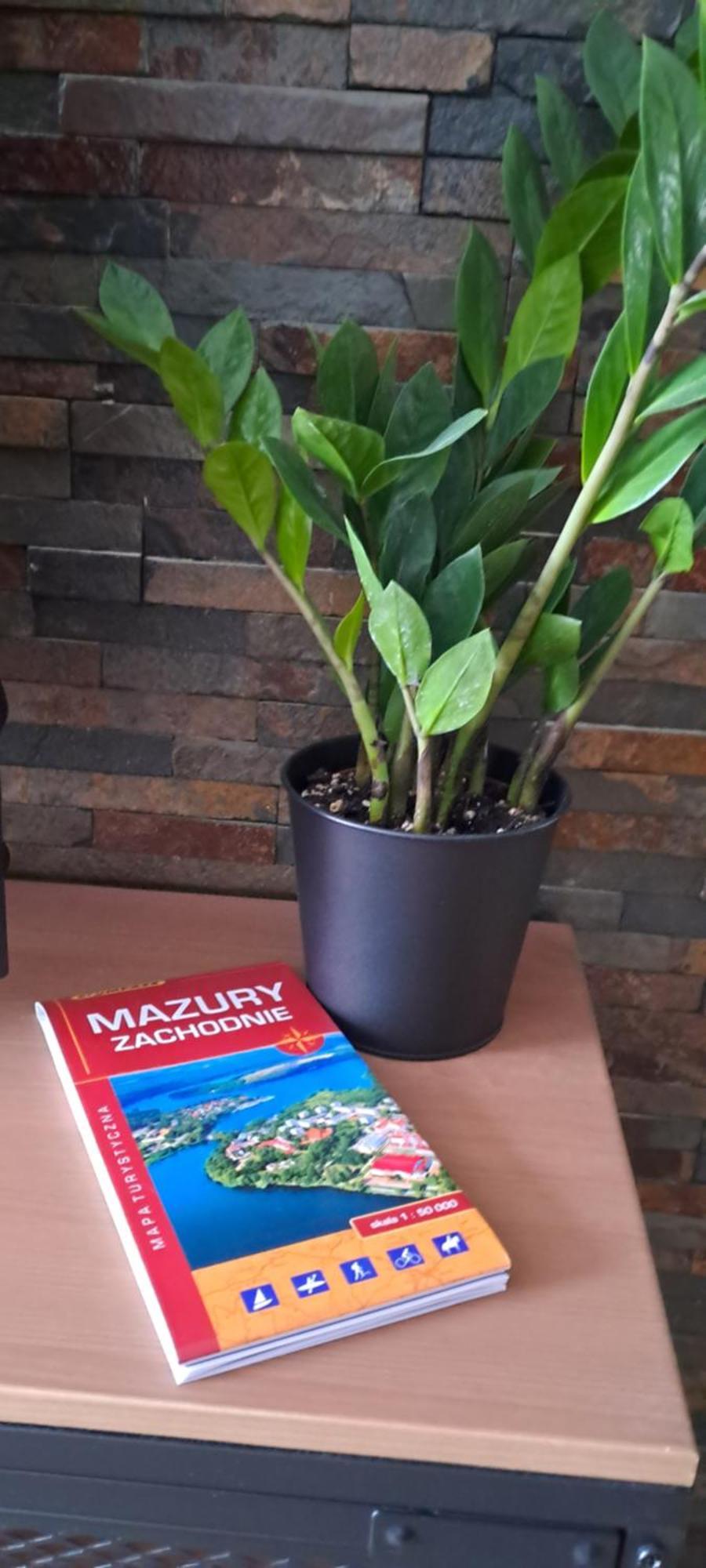 Apartment Drwecka Z Indywidualnym Garazem *